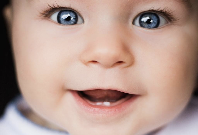 Scopri di più sull'articolo DENTIX CARPI, COSA SUCCEDERA’ ORA?