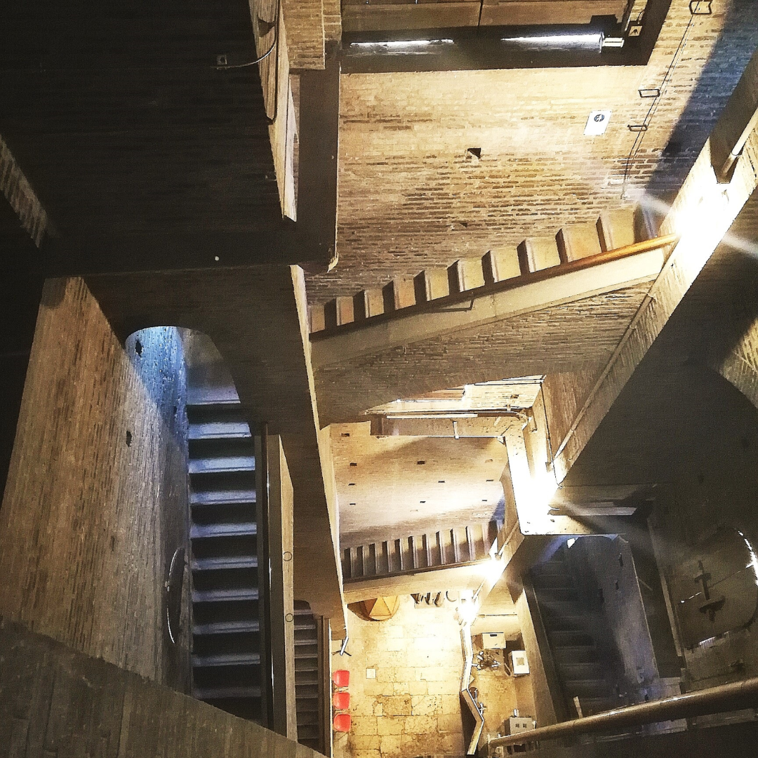 Scopri di più sull'articolo UNA NOTTE A MODENA.